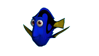 Dory