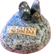 My son Rigel built a Rock Family 